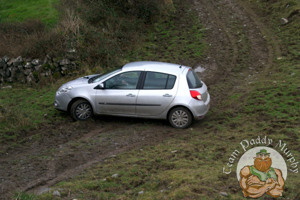 On the way in the meadow