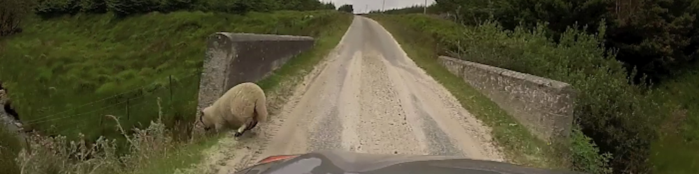 Driving Irish Roads Again: Trailer Season 03