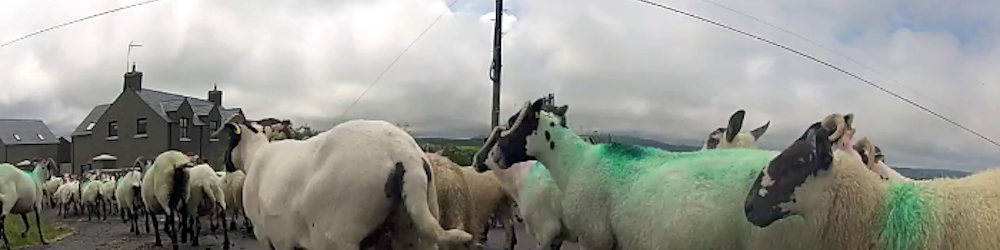 Driving Irish Roads Again: S03E01 - Antrim Coast
