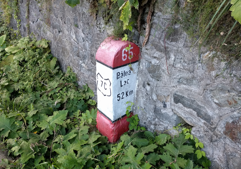 DN7C